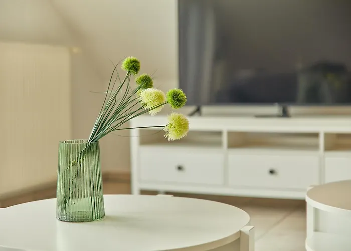 Apartament Moselschleife 2 0 *